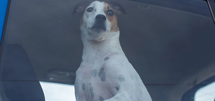 Car Lockout Solutions in Avenal, California